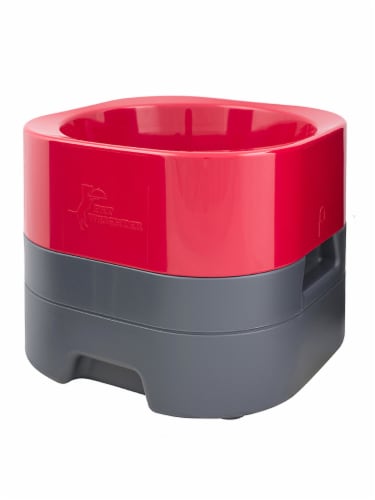 Hydro flask dog best sale bowl