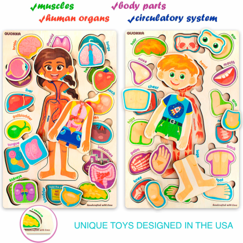 Quokka human body parts anatomy skeleton montessori puzzles for