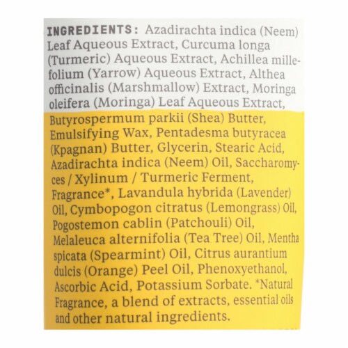 Alaffia - Day Cream Neem Turmeric - 1 Each - 3 FZ Perspective: back