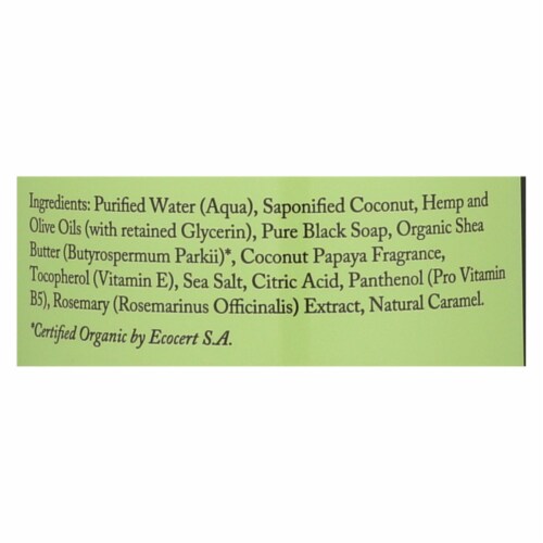 Dr. Woods Naturals Black Soap - Shea Vision - Coconut - 32 oz Perspective: back