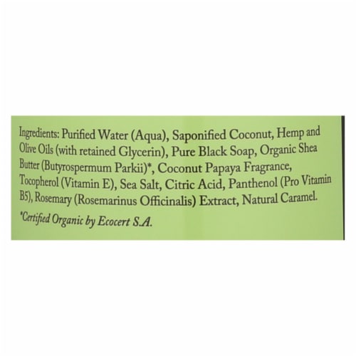 Dr. Woods Naturals Black Soap - Shea Vision - Coconut - 32 oz Perspective: back