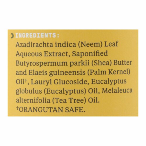 Alaffia - African Black Soap - Eucalyptus Tea Tree - 16 fl oz. Perspective: back