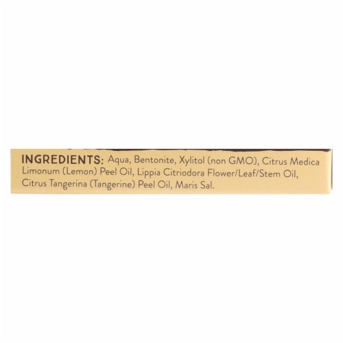 Redmond Trading Company Earthpaste - Lemon Twist - 4 oz Perspective: back