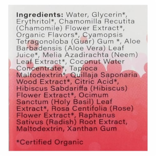 Radius - Tthpste Drgn Fruit Chld - 1 Each - 3 OZ Perspective: back
