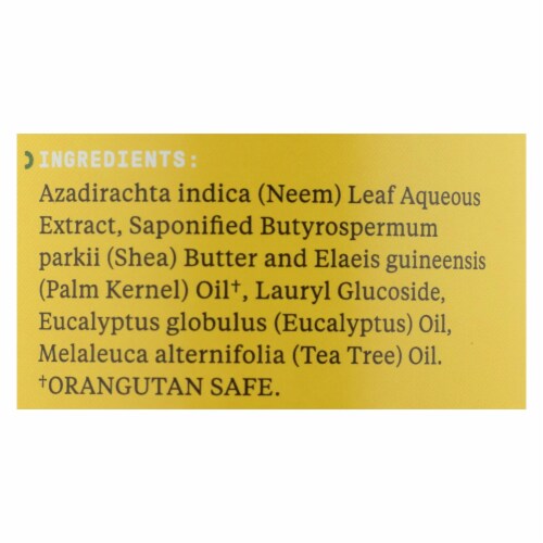 Alaffia - African Black Soap - Eucalyptus Tea Tree - 32 fl oz. Perspective: back