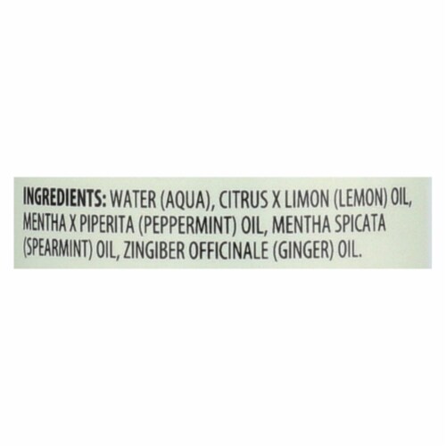 Aura Cacia - Aromatherapy Mist Ginger Mint - 4 fl oz - Pack of 3 Perspective: back