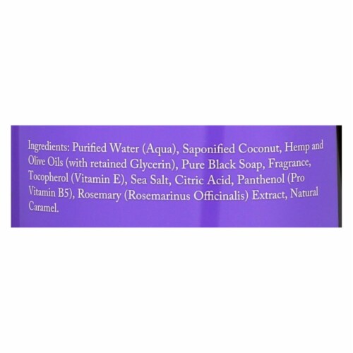 Dr. Woods Pure Black Soap - 32 fl oz Perspective: back