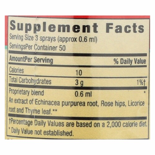 Herbs For Kids Super Kid's Throat Spray Peppermint - 1 fl oz Perspective: back