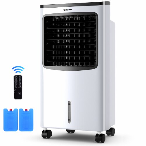 Costway Portable Cooler Fan Filter Humidify Anion W/ Remote Control Perspective: back