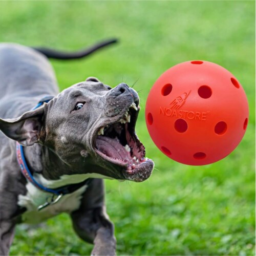 Pet Life Grip N Play Treat Dispensing Ball Shaped Suction Cup Dog Toy, 1  Pack - Kroger