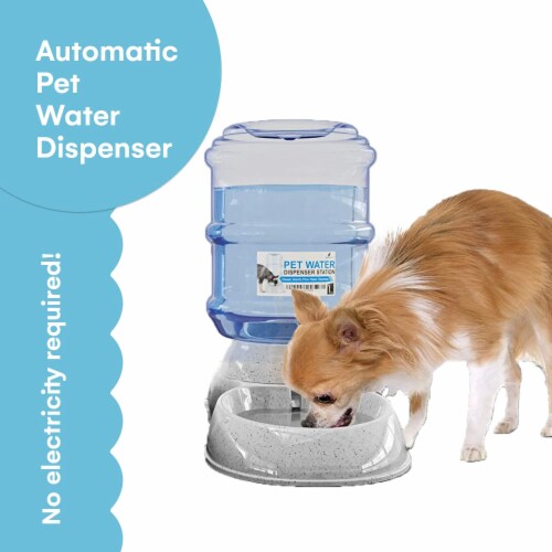Noa Store Automatic Pet Feeder Gray 1Gal Cats Dogs Feeder 1 Gallon Feeder Mariano s