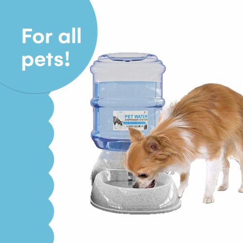 1 gallon sales dog water bowl