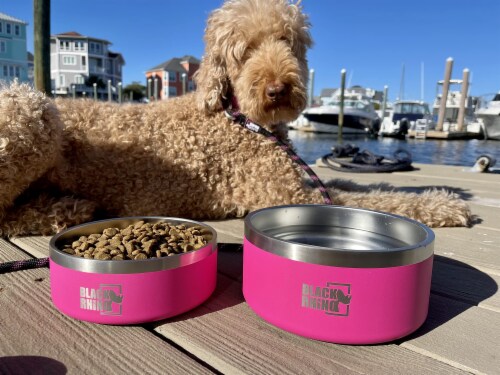 Black Rhino Dura-Bowl Pink 42 Oz  Double Insulated Steel Food & Water Dog  Bowls, 42 Oz - Kroger