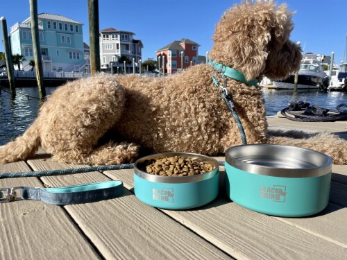 Black Rhino Dura Bowl Aqua 64 Oz Dog Bowls for All Sizes 64 Oz Food 4 Less