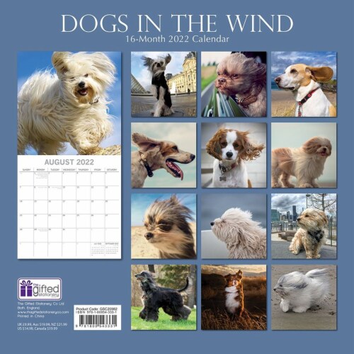 2022 Wall Calendar Dogs in the Wind Fun Moment 12x12 16 Month with 180