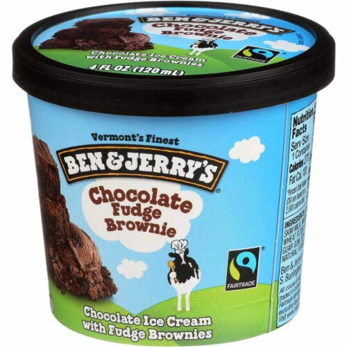 Ben and jerry's chocolate fudge deals