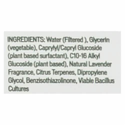 Biokleen Bac-Out Bathroom Cleaner - Case of 6 - 32 oz Perspective: back