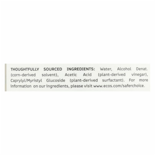 Earth Friendly Window Cleaner - Vinegar - Case of 6 - 22 fl oz Perspective: back