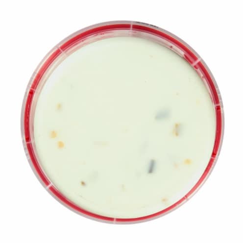 Queso Melt Hot Jalapeno Dip Perspective: back