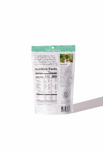Salted Coconut Oil Plantain Chips, Case of 6 Perspective: back