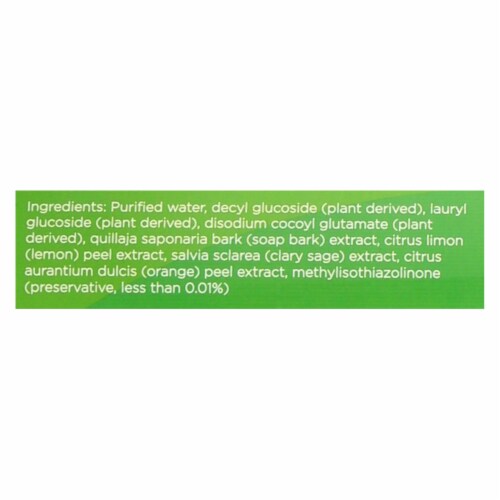 Better Life All Purpose Cleaner Clary Sage Citrus  - Case of 6 - 32 FZ Perspective: back