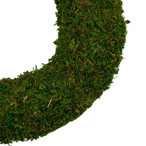 Northlight 13.7 Reindeer Moss Artificial Floral Spring Wreath - Unlit Perspective: bottom