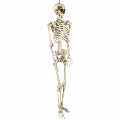 Northlight 5' Life Size Skeleton Hanging Halloween Decoration Perspective: bottom
