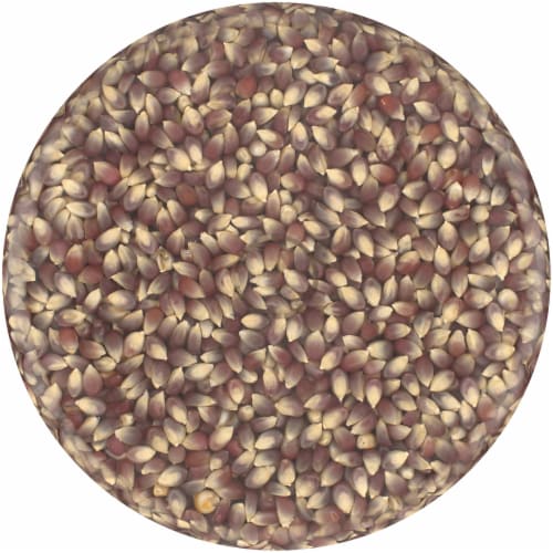 Simple Truth™ 100% Whole Grain Purple Popcorn Perspective: bottom