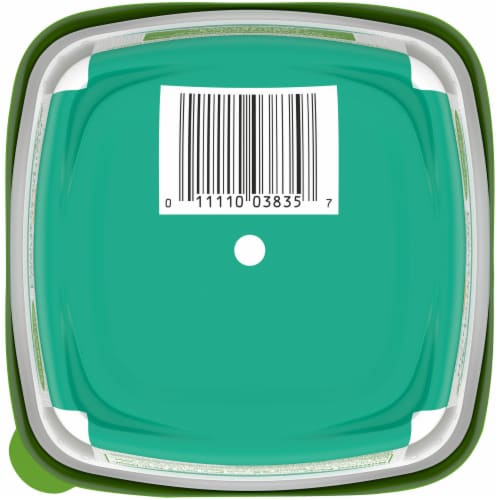 Simple Truth Organic™ Plant-Based French Onion Dip Perspective: bottom