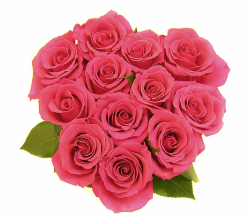 Bloom Haus Roses - Assorted Perspective: bottom