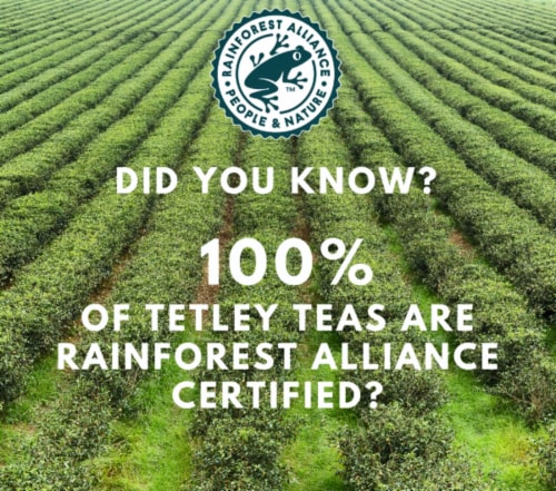 Tetley® Decaffeinated Iced Tea Blend Tea Bags Perspective: bottom