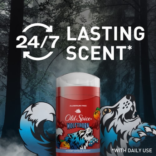 Old Spice for Antiperspirant Deodorant Invisible Solid Wolfthorn Scent 1-Pack Perspective: bottom