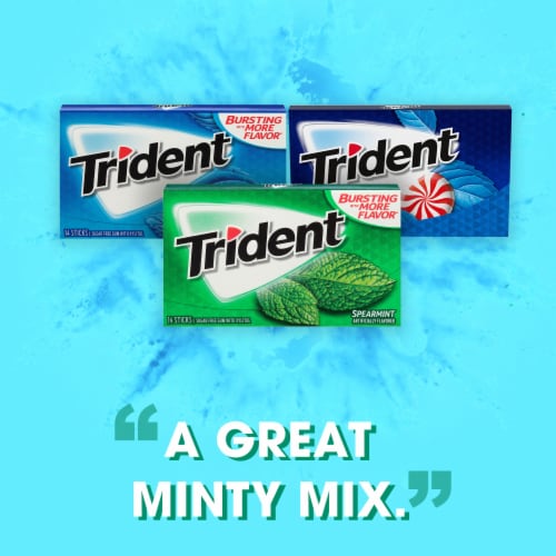 Trident Mint Gum Variety Pack Perspective: bottom