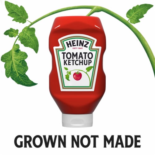 Heinz Tomato Ketchup Perspective: bottom