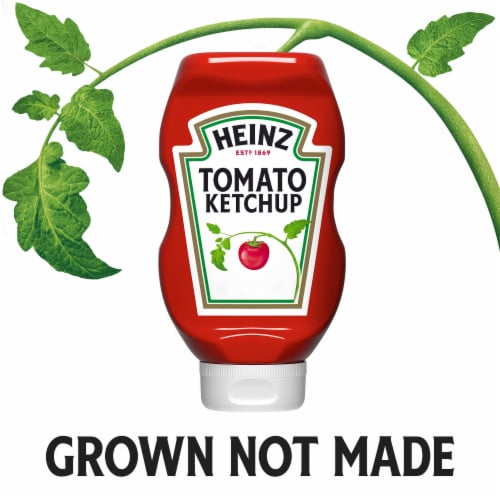 Heinz Tomato Ketchup Perspective: bottom