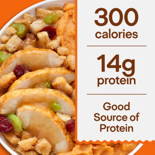 Lean Cuisine Glazed Turkey Tenderloins Frozen Meal Perspective: bottom