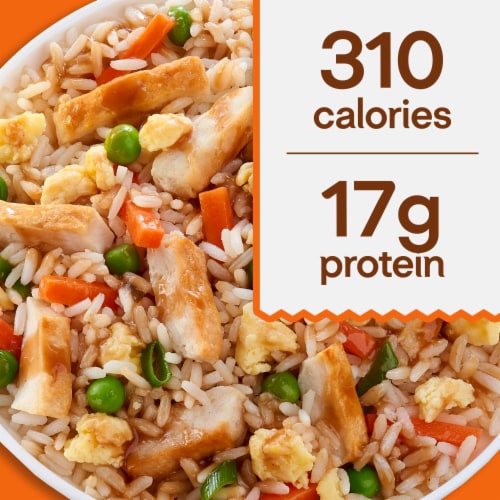 Lean Cuisine Favorites Chicken Fried Rice Frozen Meal Perspective: bottom