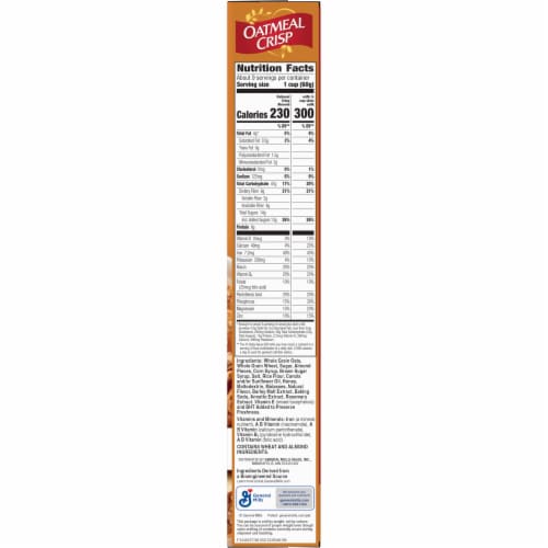 General Mills Oatmeal Crisp Cereal Perspective: bottom