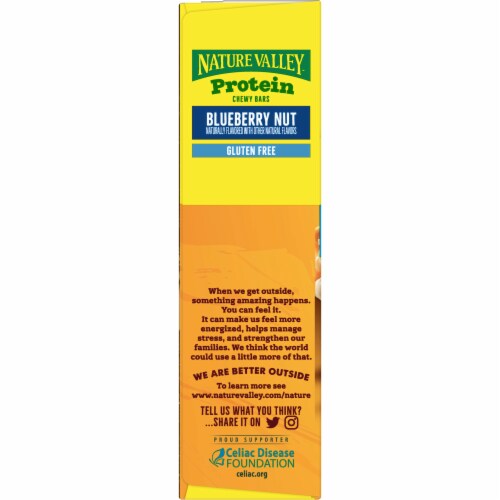 Nature Valley Blueberry Nut Chewy Protein Granola Bars Perspective: bottom
