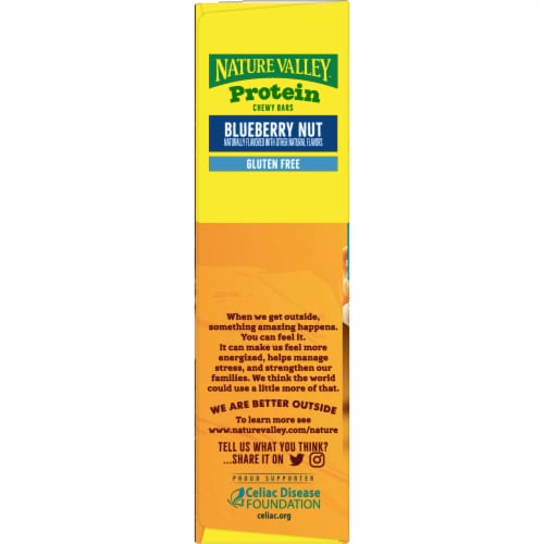 Nature Valley Blueberry Nut Chewy Protein Granola Bars Perspective: bottom