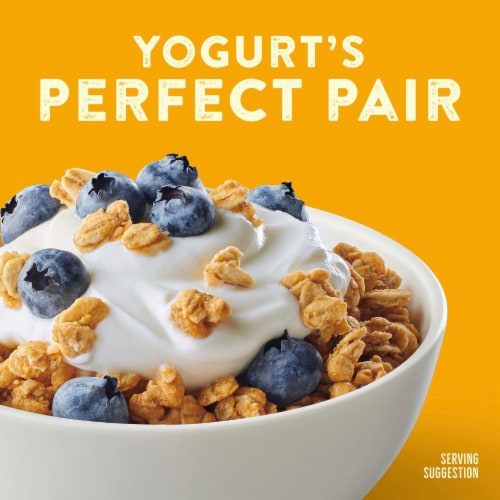 Nature Valley Whole Grain Oats and Honey Protein Granola Perspective: bottom