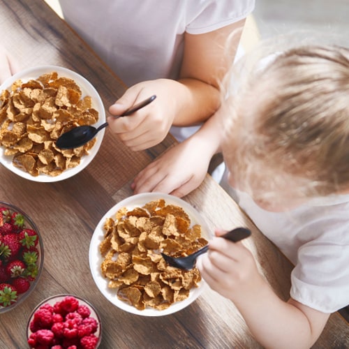 Total Whole Grain Flakes Breakfast Cereal Perspective: bottom