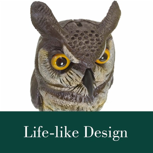 Dalen Products Incorporated Molded Owl Perspective: bottom