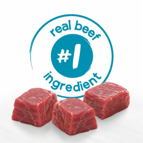 Purina Beneful IncrediBites Pate Wet Dog Food for Small Dogs Filet Mignon Flavor in a Savory Gravy Perspective: bottom