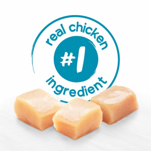 Purina Beneful IncrediBites Pate Wet Dog Food for Small Dogs Grilled Chicken Flavor in Savory Gravy Perspective: bottom