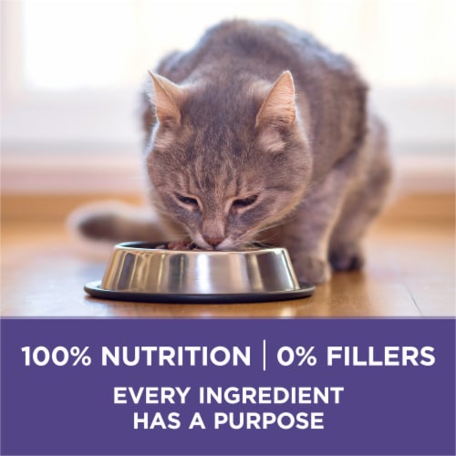 Purina ONE +Plus Adult Natural Hairball Control Dry Cat Food Real Chicken Perspective: bottom