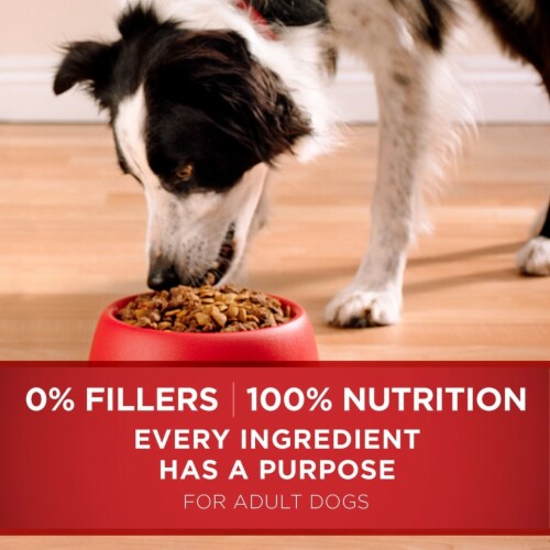 Purina ONE Smartblend Lamb & Rice Formula - 44 Pounds Perspective: bottom