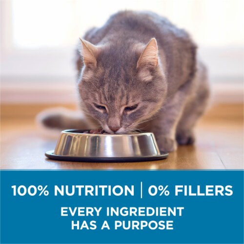 Purina ONE +Plus Senior Indoor Advantage Dry Cat Food Perspective: bottom