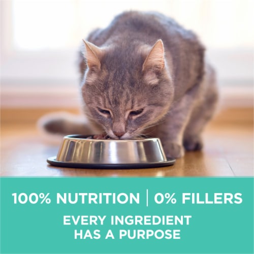 Purina ONE® Sensitive Skin & Stomach Natural Adult Cat Food Perspective: bottom