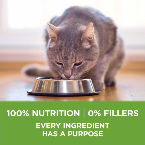 Purina One Indoor Advantage Hairball and Weight Control Natural Dry Cat Food Perspective: bottom